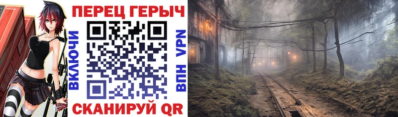 где купить наркотик  mega сайт  Героин гречка  Себеж 