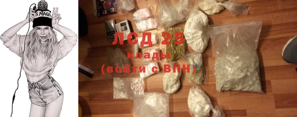 ПСИЛОЦИБИНОВЫЕ ГРИБЫ Алзамай