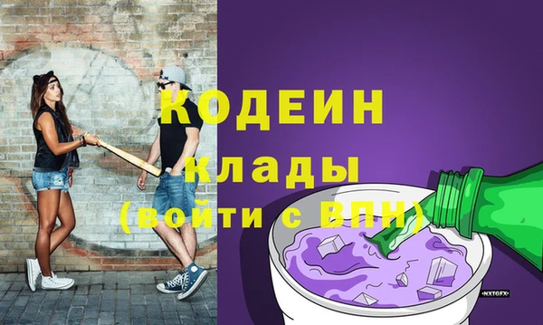 ПСИЛОЦИБИНОВЫЕ ГРИБЫ Алзамай