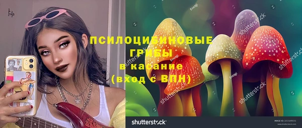 ПСИЛОЦИБИНОВЫЕ ГРИБЫ Алзамай